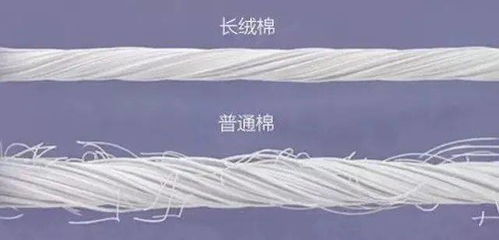 北歐風床品新寵 毛腈混紗，如何用簡約美學打造高級睡眠空間？